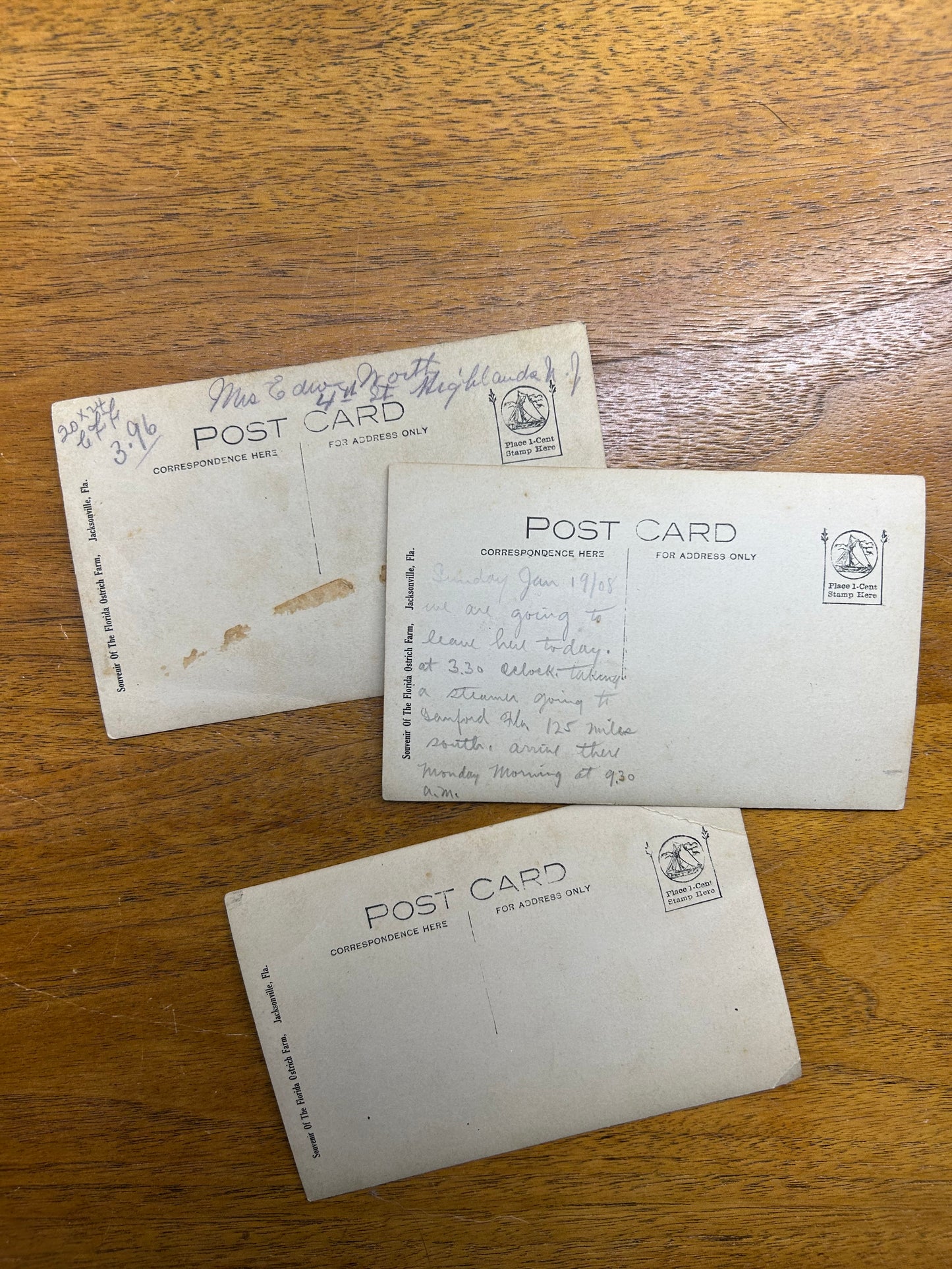 Florida Ostrich Postcard Set